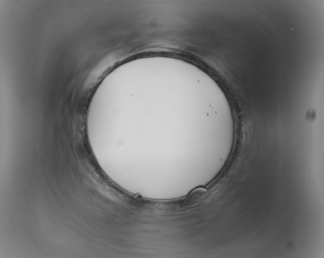 X0000112151355200909041053