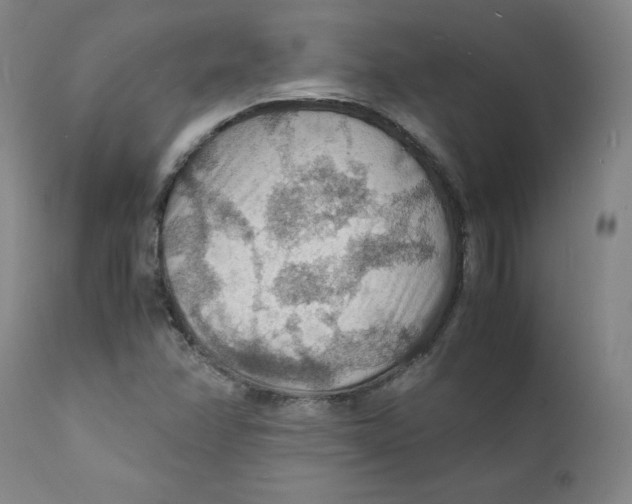 X0000112151358200909041053