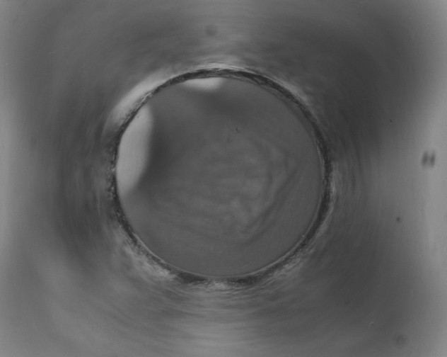 X0000112151359200909041053