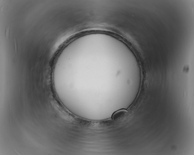 X0000112151360200909041053