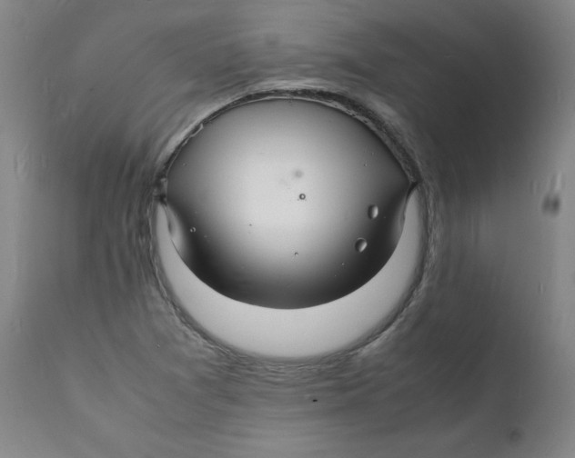 X0000112151361200909041053