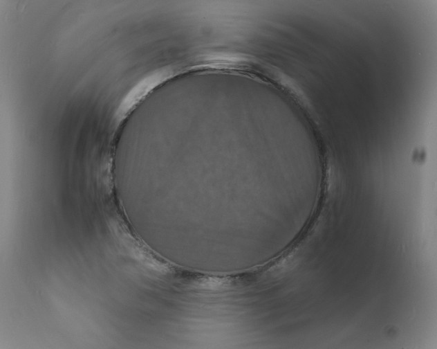 X0000112151362200909041053