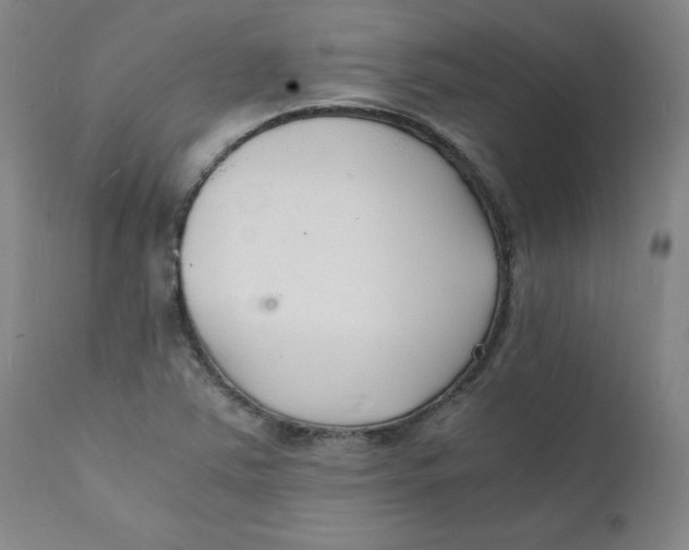 X0000112151363200909041053