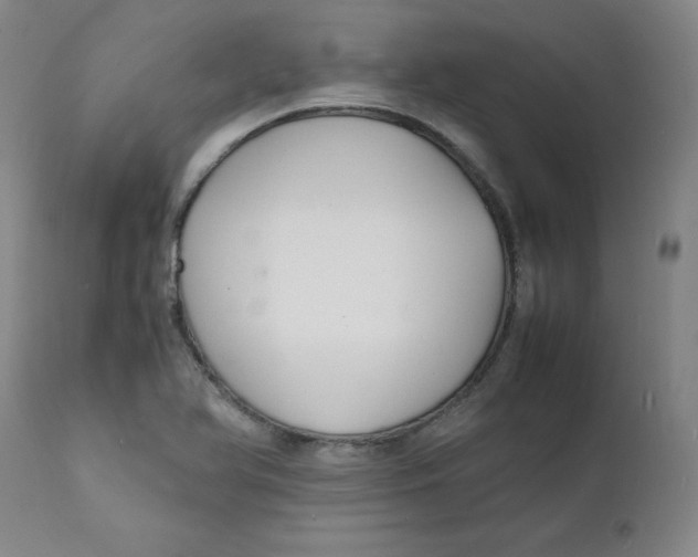 X0000112151366200909041053