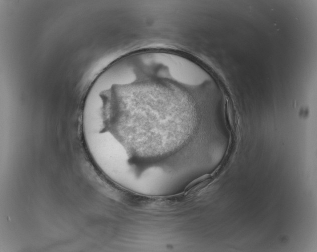 X0000112151367200909041053