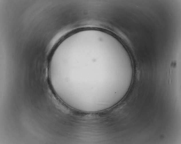 X0000112151368200909041053