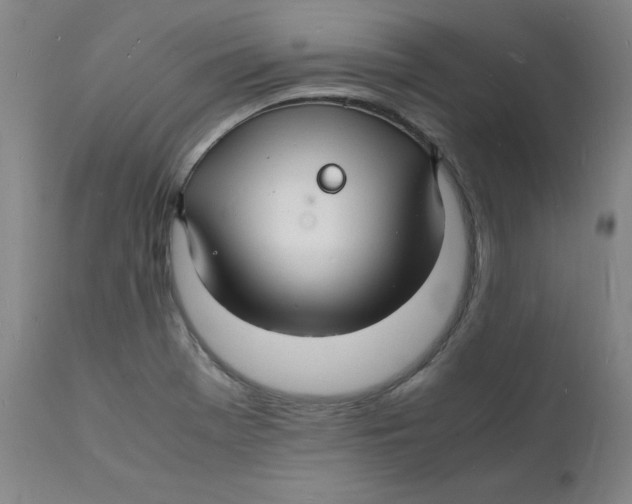 X0000112151369200909041053