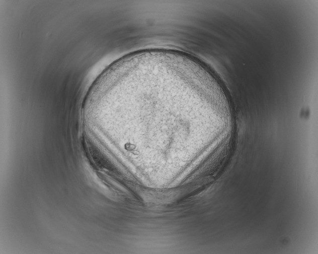 X0000112151371200909041053