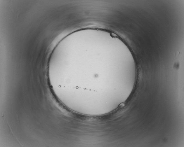 X0000112151375200909041053