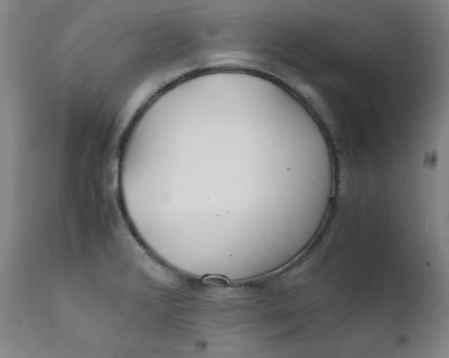 X0000112151376200909041053