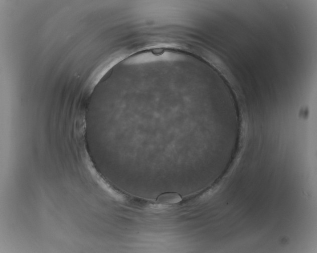 X0000112151377200909041053