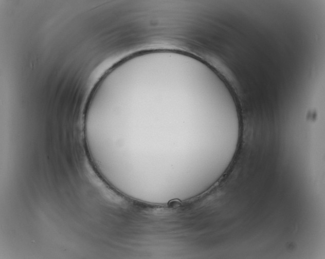 X0000112151380200909041053