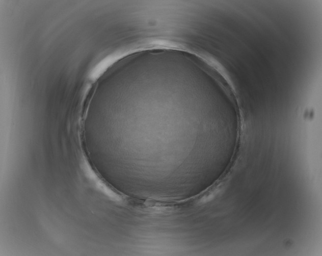 X0000112151381200909041053