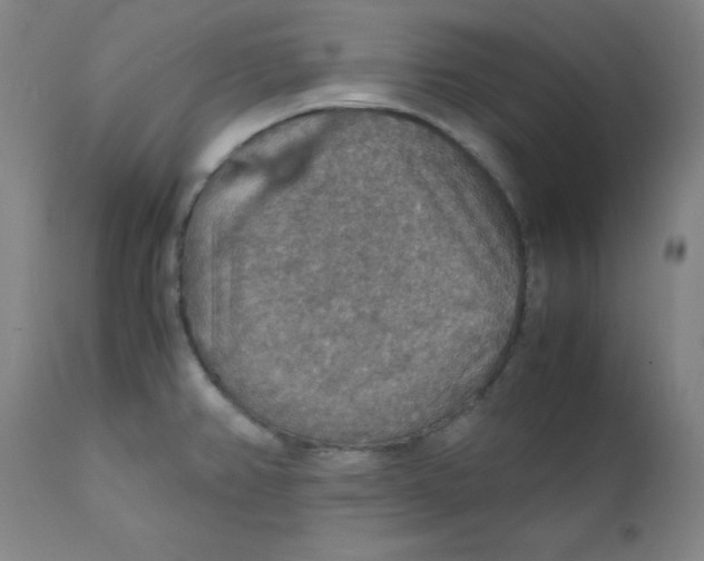 X0000112151382200909041053