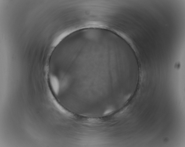 X0000112151383200909041053