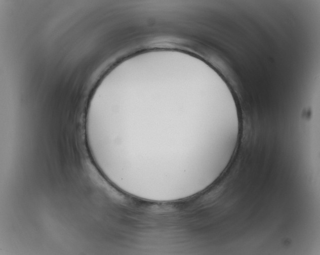 X0000112151384200909041053