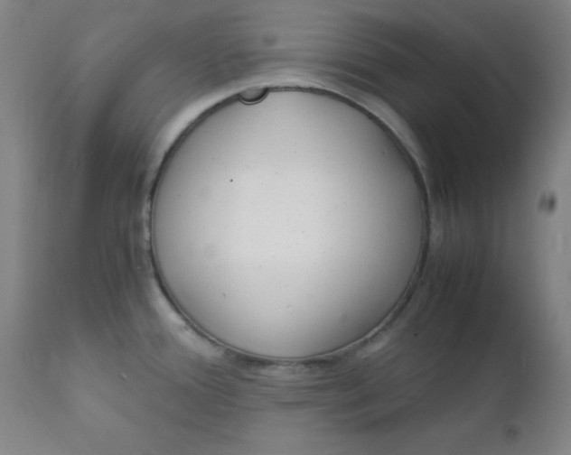 X0000112151388200909041053