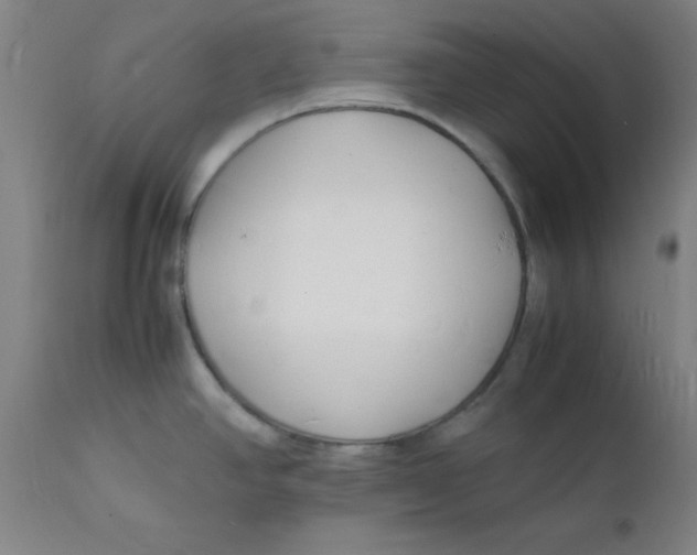 X0000112151390200909041053