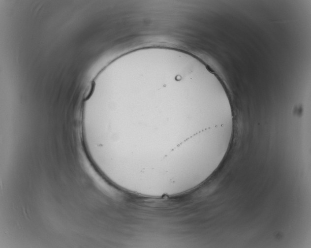 X0000112151391200909041053