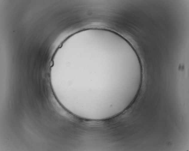 X0000112151392200909041053