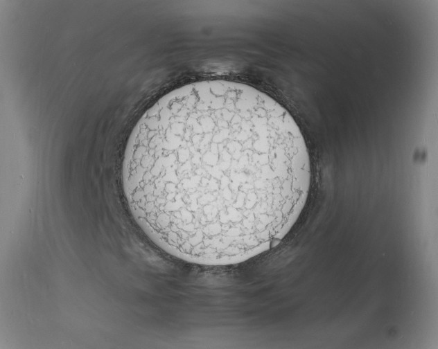 X0000112151393200909041052