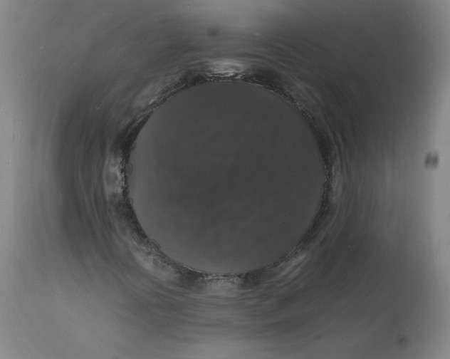 X0000112151394200909041052