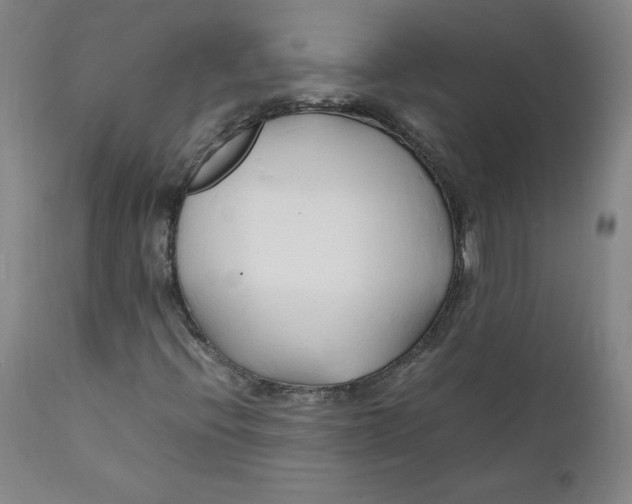 X0000112151396200909041052