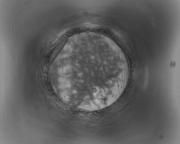 X0000112151397200909041052