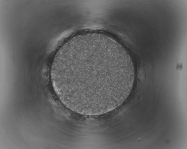 X0000112151398200909041052