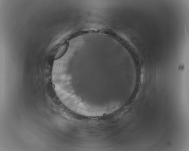 X0000112151399200909041052