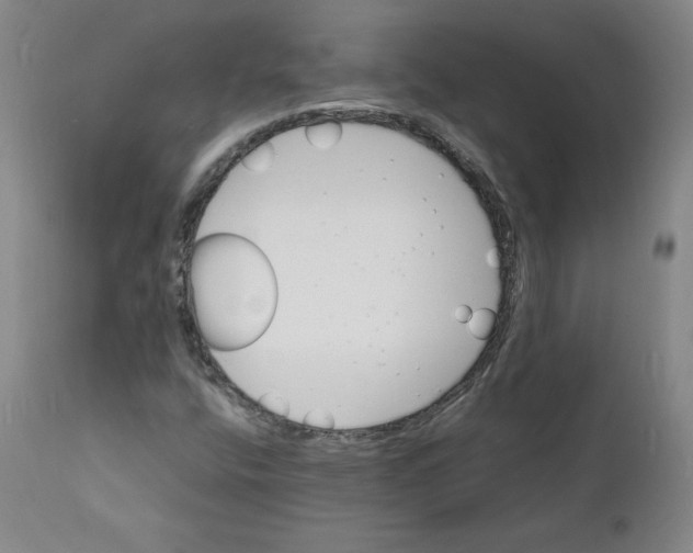 X0000112151400200909041052