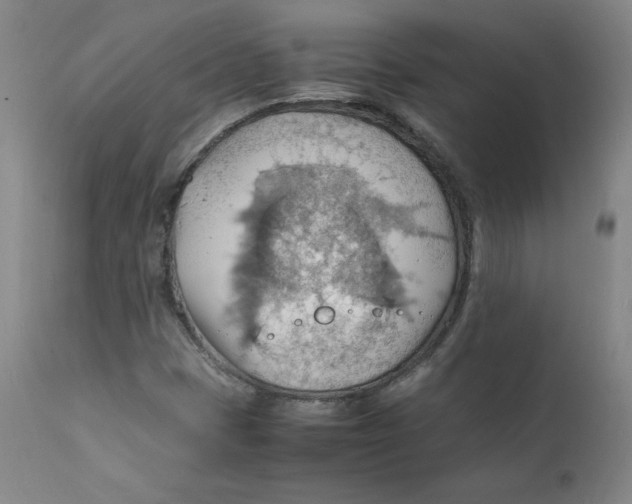 X0000112151401200909041052