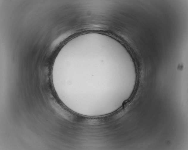 X0000112151402200909041052