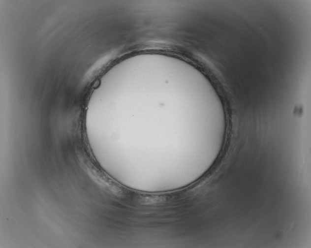 X0000112151403200909041052