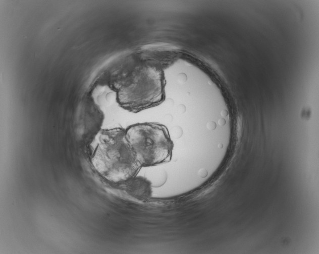 X0000112151405200909041052