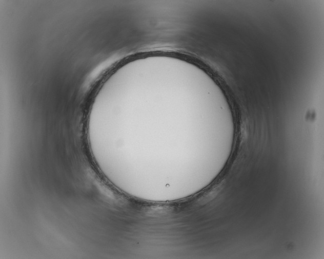 X0000112151406200909041052