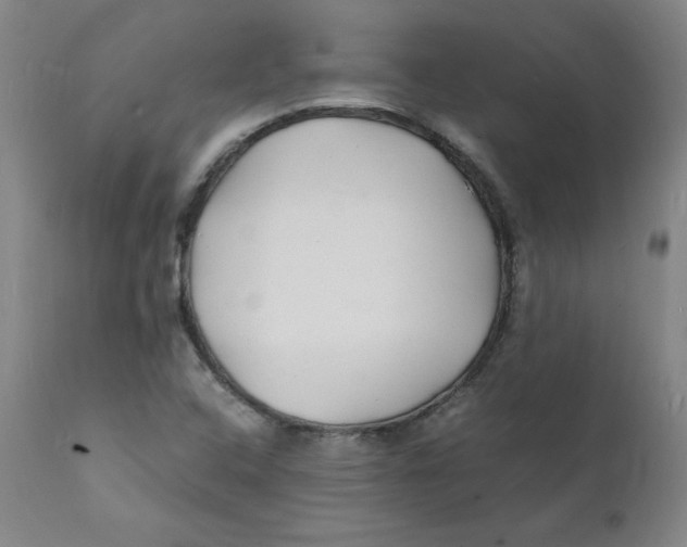 X0000112151408200909041052