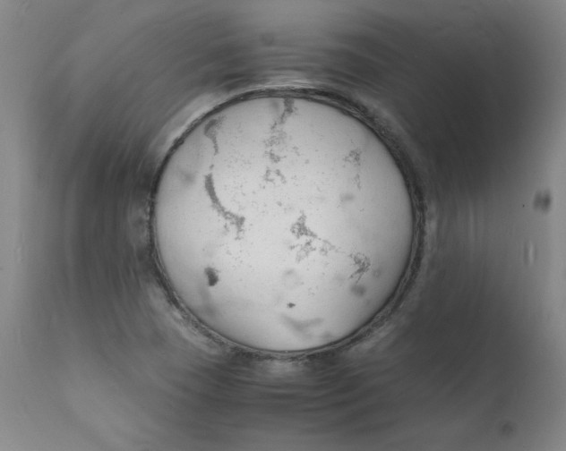 X0000112151409200909041052