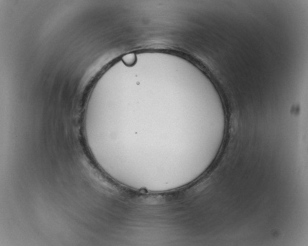 X0000112151410200909041052