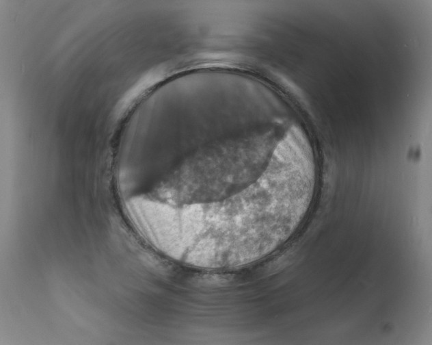 X0000112151411200909041052