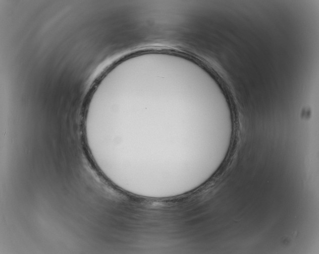 X0000112151412200909041052