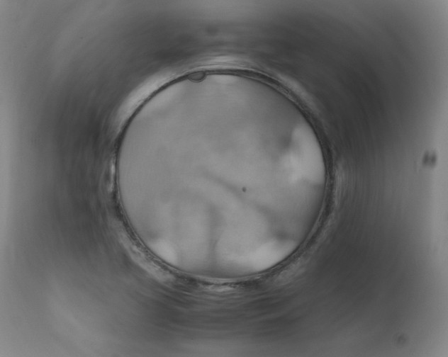 X0000112151413200909041052