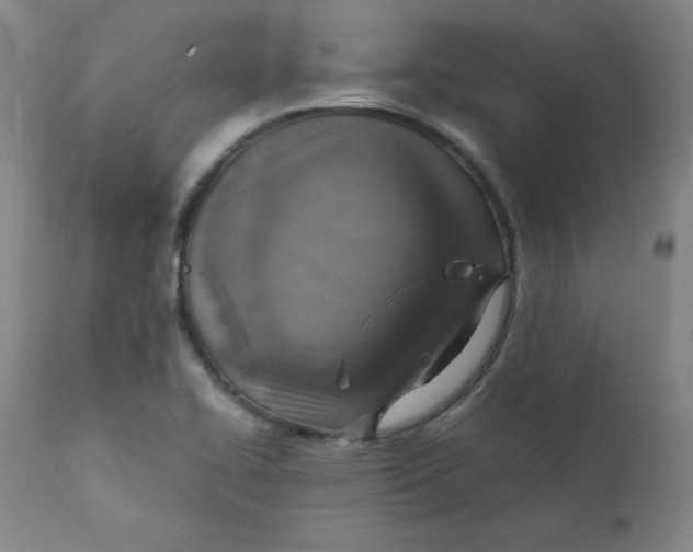 X0000112151414200909041052