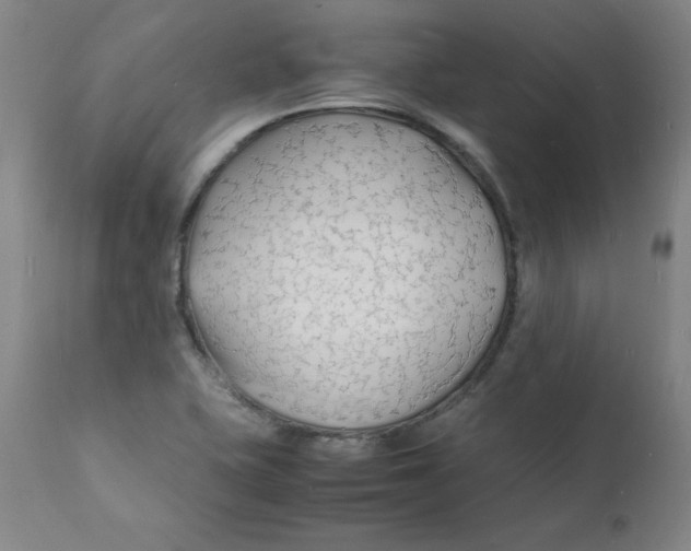 X0000112151415200909041052