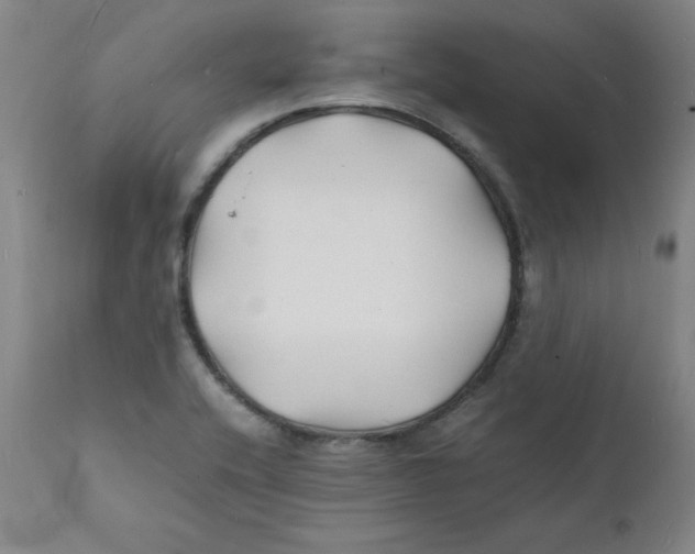 X0000112151416200909041052