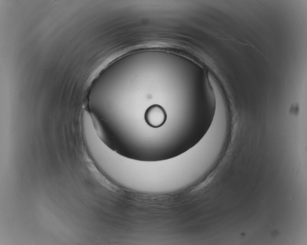 X0000112151417200909041052