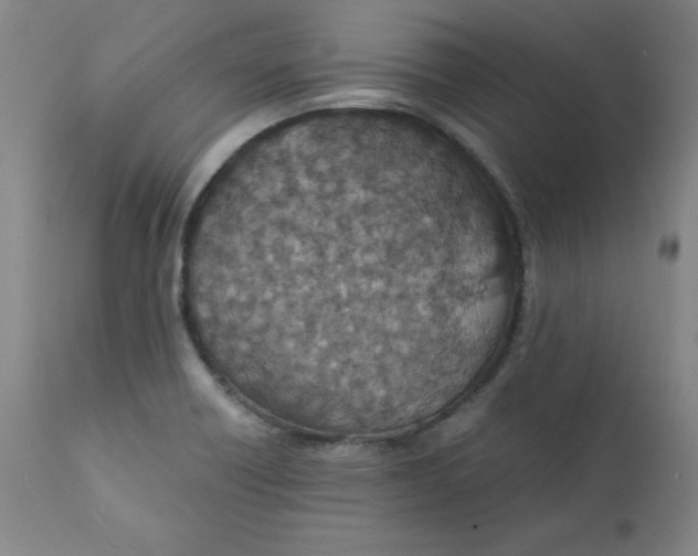 X0000112151418200909041052