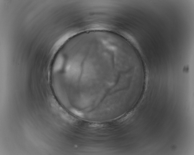 X0000112151419200909041052