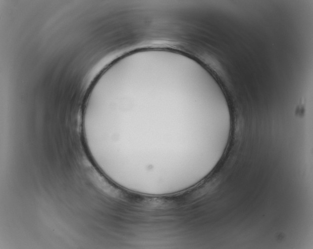 X0000112151420200909041053