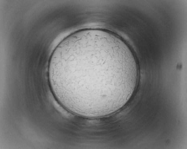 X0000112151421200909041053